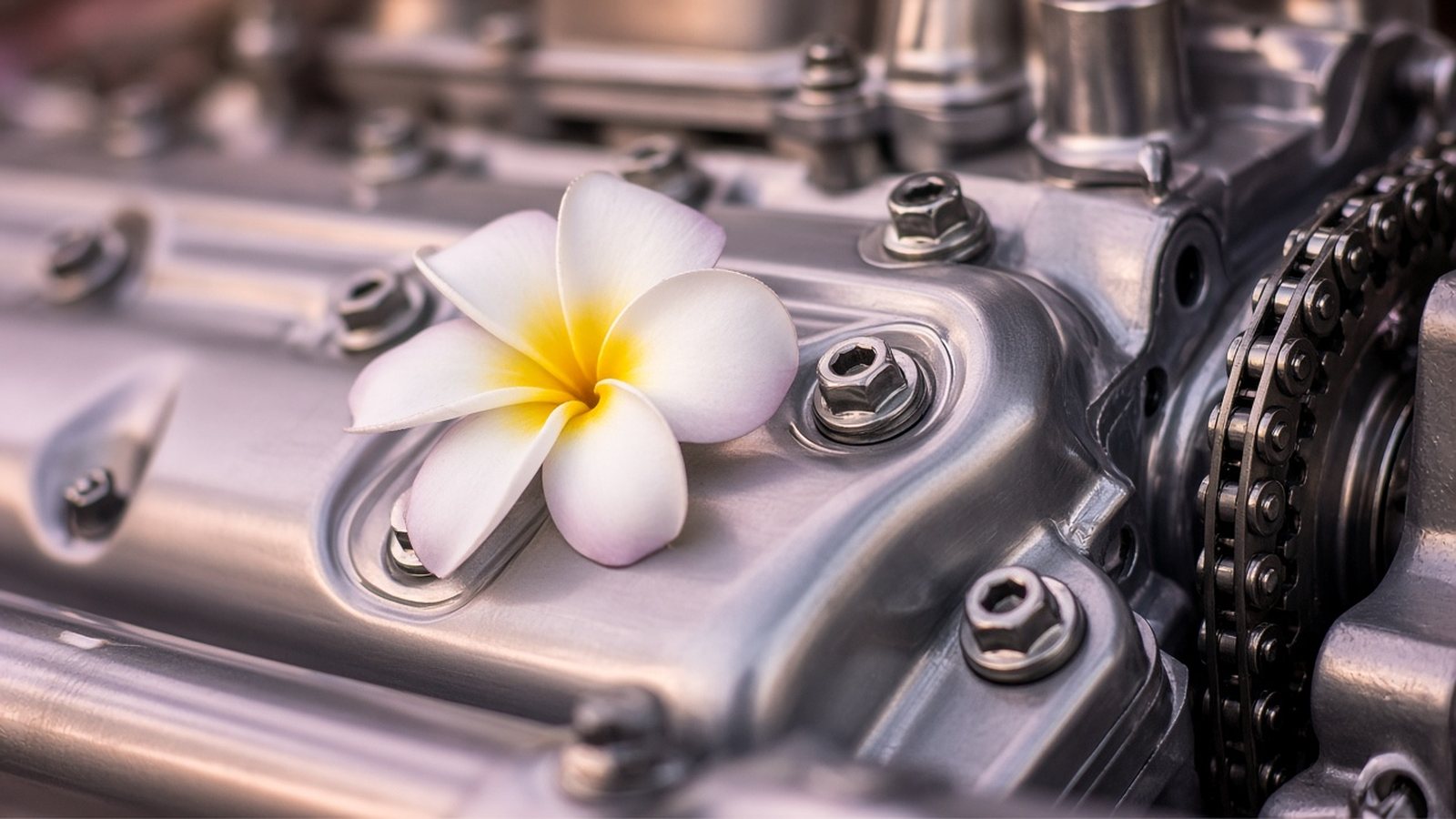 Close look at a checked BMW engine